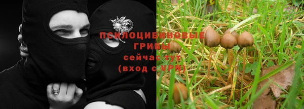 ALPHA PVP Богородицк