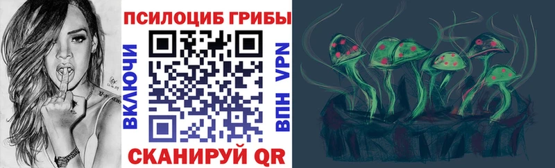 Купить закладки  Татарск  Псилоцибиновые грибы ЛСД 